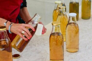Kombucha Tee: Eigenschaften und Risiken