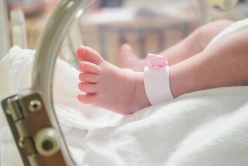 Frühgeborene - Baby im Brutkasten