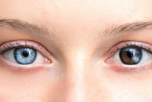 Wahrheiten oder Mythen über die Augenfarbe