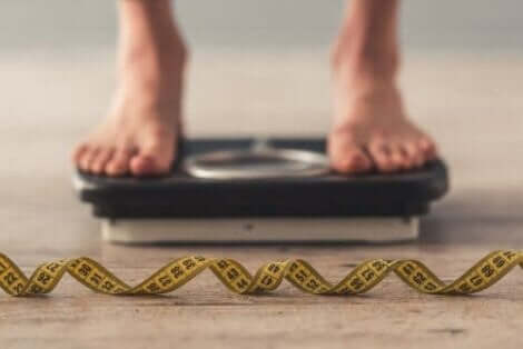 Der Verzicht auf Fette hat keinen Einfluss auf die Gewichtsabnahme