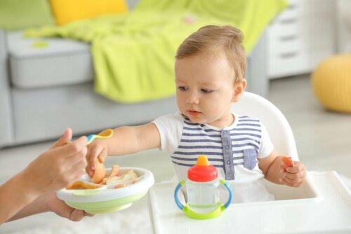 feste Babynahrung einführen