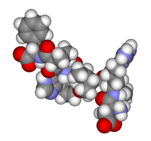 Androgen tragen zu Akne Conglobata bei