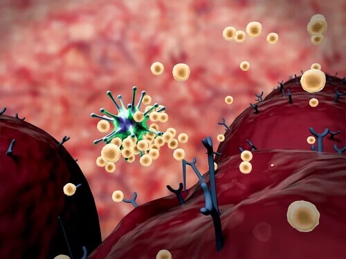 Immunreaktion: Was du darüber wissen solltest