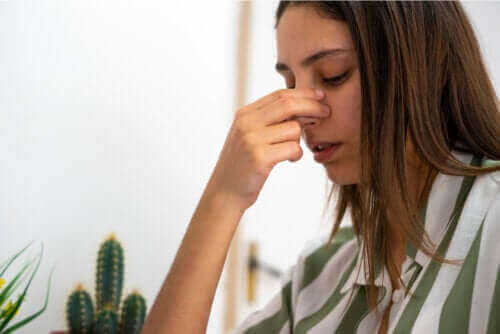 Nasenscheidewand-Perforation: Symptome und Behandlung