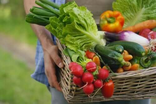 Korb mit Gemüse: natriumarme Lebensmittel