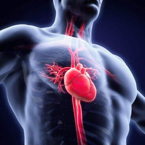 Asthenie und Herzinsuffizienz