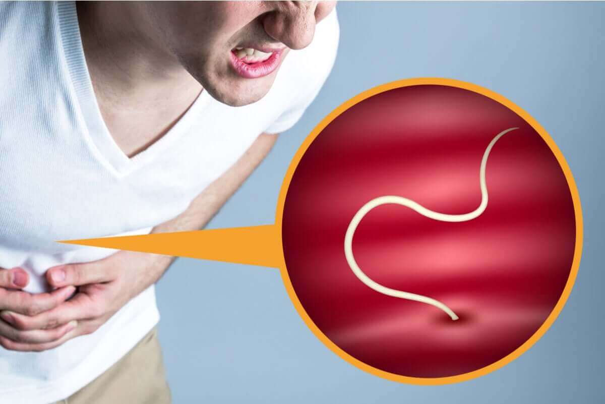 Parasiten in Lebensmitteln können zu Lebensmittelvergiftungen führen