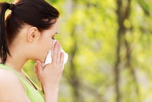 Die 5 besten Hausmittel gegen Pollenallergien