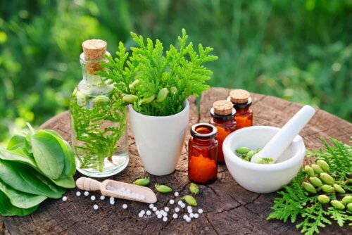 Plantago regt die Darmtätigkeit an