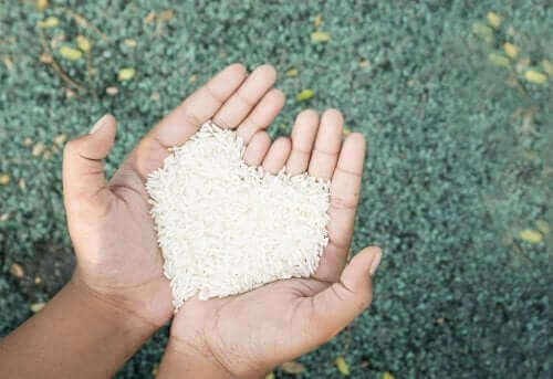 Reiszubereitung und die Vorteile von Reis