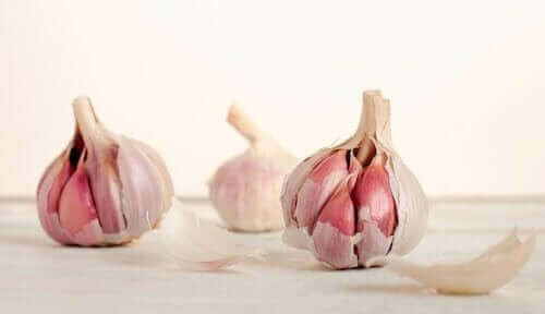 Knoblauch für Kurkuma-Knoblauch-Mayonnaise