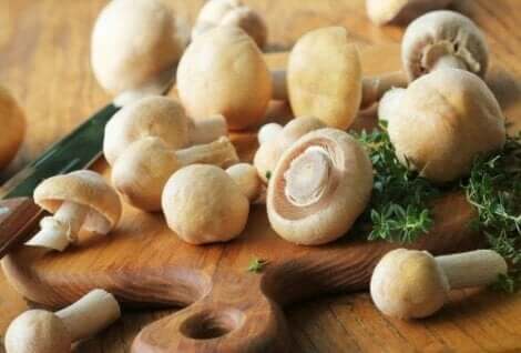 gefüllte Champignons