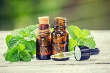 Rosmarin und Brennnessel für gesundes Haar