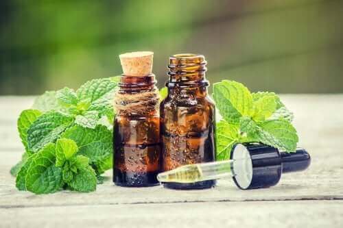 Rosmarin und Brennnessel für gesundes Haar