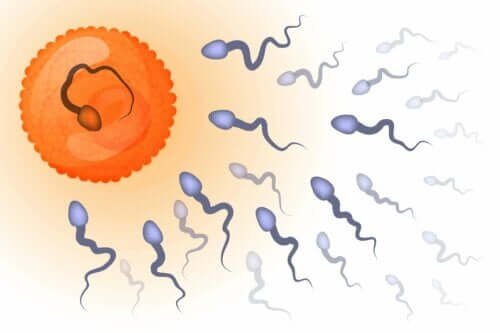 Asthenozoospermie