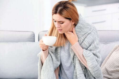Thymian gegen Bronchitis und Atembeschwerden