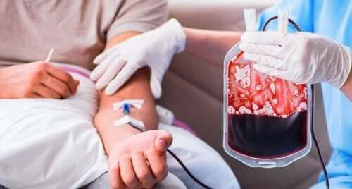 Künstliches Blut für Transfusionen: Was hat es damit auf sich?