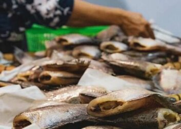 Die Symptome unterschiedlicher Arten einer Fischvergiftung