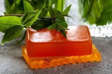 Papaya-Seife: Verwendung und Nebenwirkungen