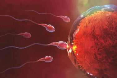 Schwanger werden nach dem Sex: So verläuft dieser Prozess