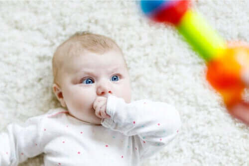 Babys fixieren häufig Objekte und Menschen – weißt du, warum?