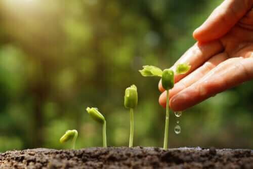 Nachhaltiger Garten: 6 wichtige Tipps