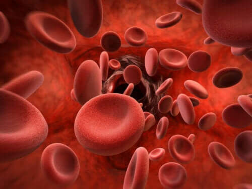 Trainingsmasken - rote Blutkörperchen