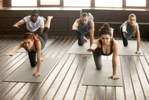 Vogel-Hund-Übung - Gruppe beim Yoga