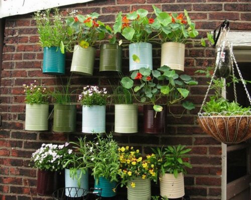 Hängende Pflanzgefäße - urbaner Garten