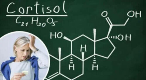 Cortisol, das wohl bekannteste aller Stresshormone