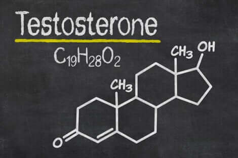 Testosteron, das männliche Sexualhormon