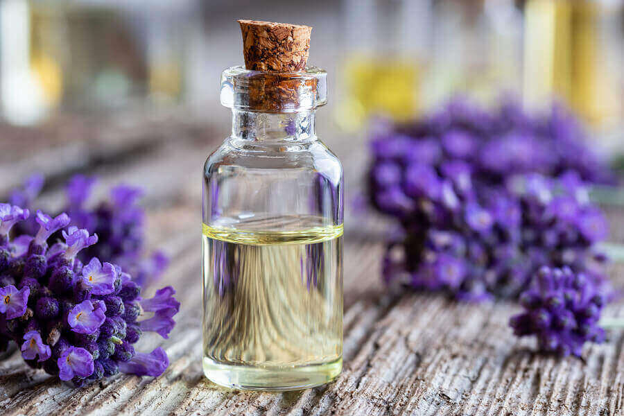 Lavendelöl zur Linderung von Bienenstichen 