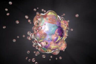 Apoptose und Nekrose: Welche Unterschiede bestehen?