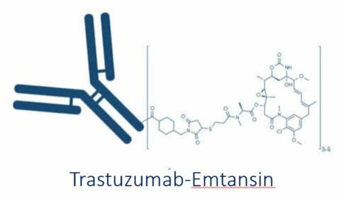 Trastuzumab zur Therapie von HER2-positivem Brustkrebs