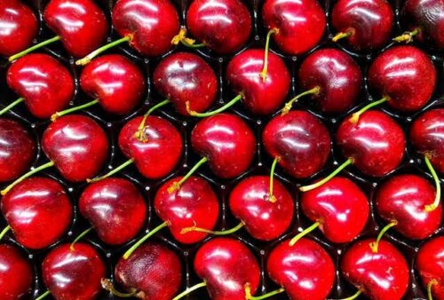Kirschmarmelade - Kirschen