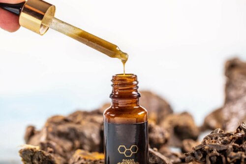 Propolis für die Mundgesundheit