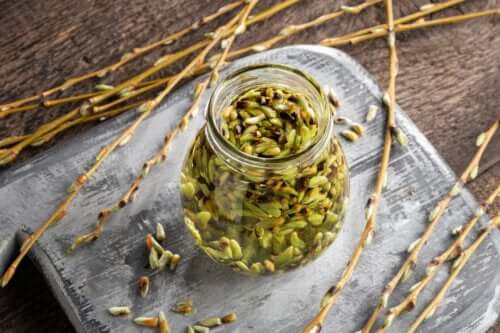 Yemotherapie: Nutzen und Anwendungen der Kräutermedizin