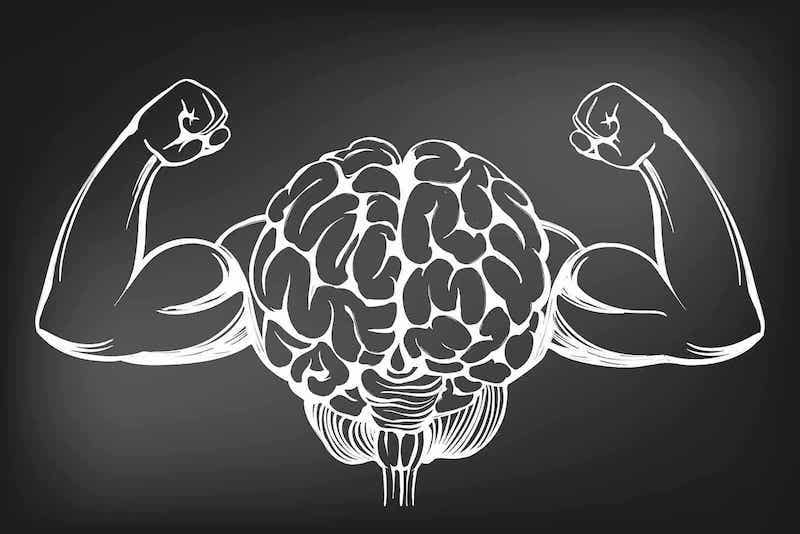 Mehr als Muskelkraft: Wie Kreatin Körper und Geist in Schwung bringt