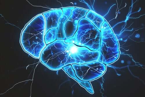 Gibt es Bakterien im Gehirn?