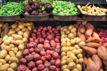 Der Unterschied zwischen Knollen, Wurzelknollen und Zwiebeln