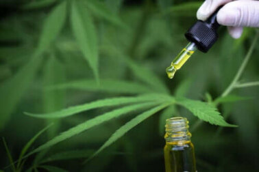 CBD – Wundermittel oder nicht?