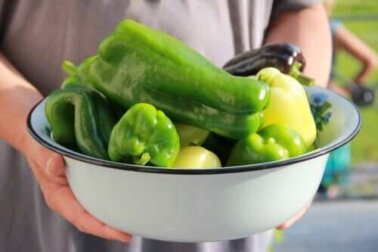 Paprika pflanzen: Tipps und Tricks für den Anbau zu Hause