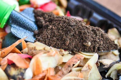 Paprika haben einen hohen Nährstoffbedarf und benötigen daher einen guten Dünger