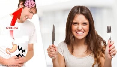 Funktionen und Wirkmechanismus von Ghrelin