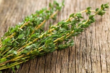 Antiparasitäre Eigenschaften von Thymian