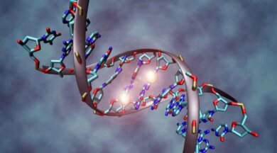 Alles, was du über die DNA wissen musst
