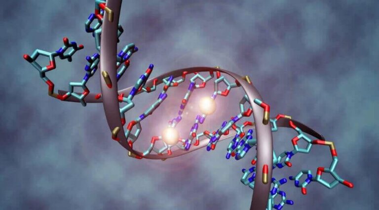 Alles, was du über die DNA wissen musst
