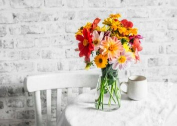 8 Herbstblumen für deinen Garten