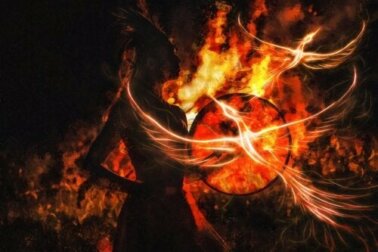 Phoenix-Effekt: Weißt du, was das ist?