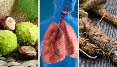 4 Hausmittel zur Stärkung der Lunge